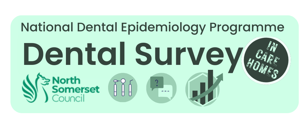 North Somerset Logo for National Dental Epidemiology Programme Dental Survey in Care Homes